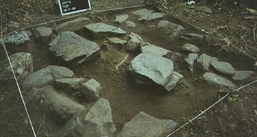 中央アフリカで、エイリアンの集団墓地が発見された！？