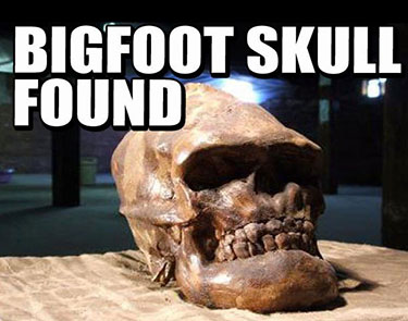 ビッグフットの頭蓋骨を発見！